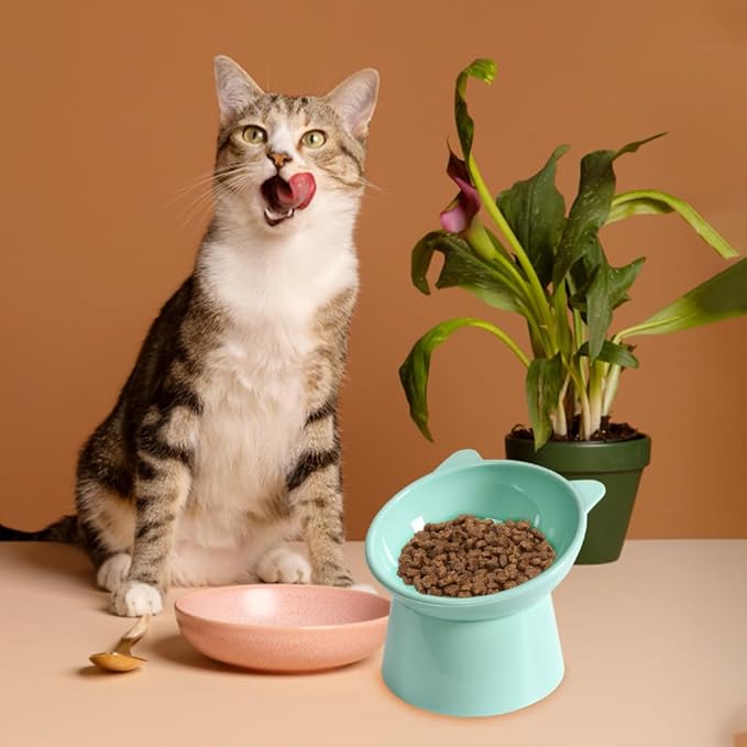 Elevated Cat Bowl, Cat Feeding Bowl